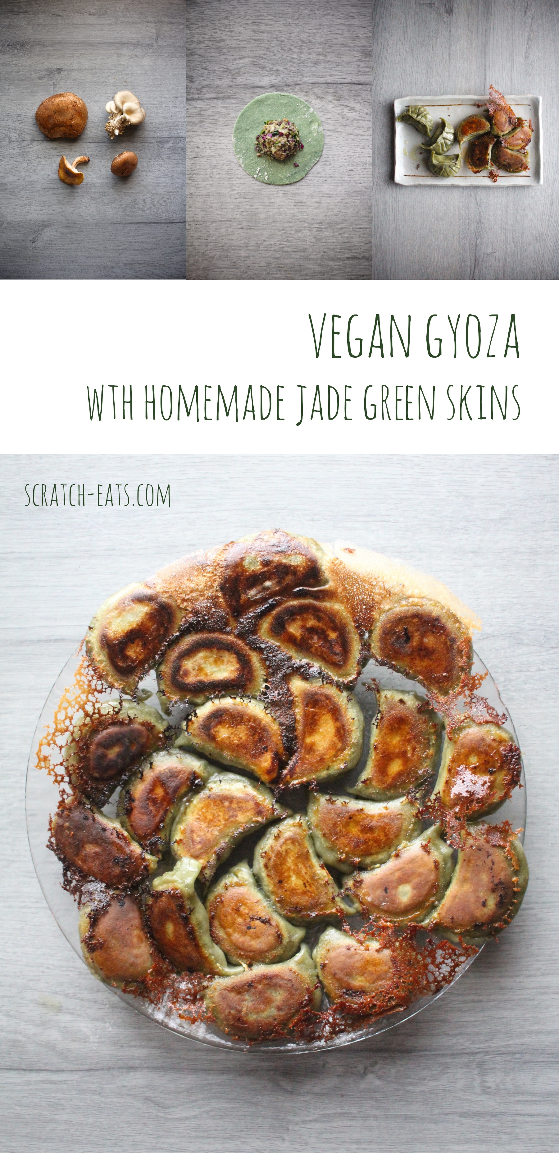 vegan gyoza with jade green skins