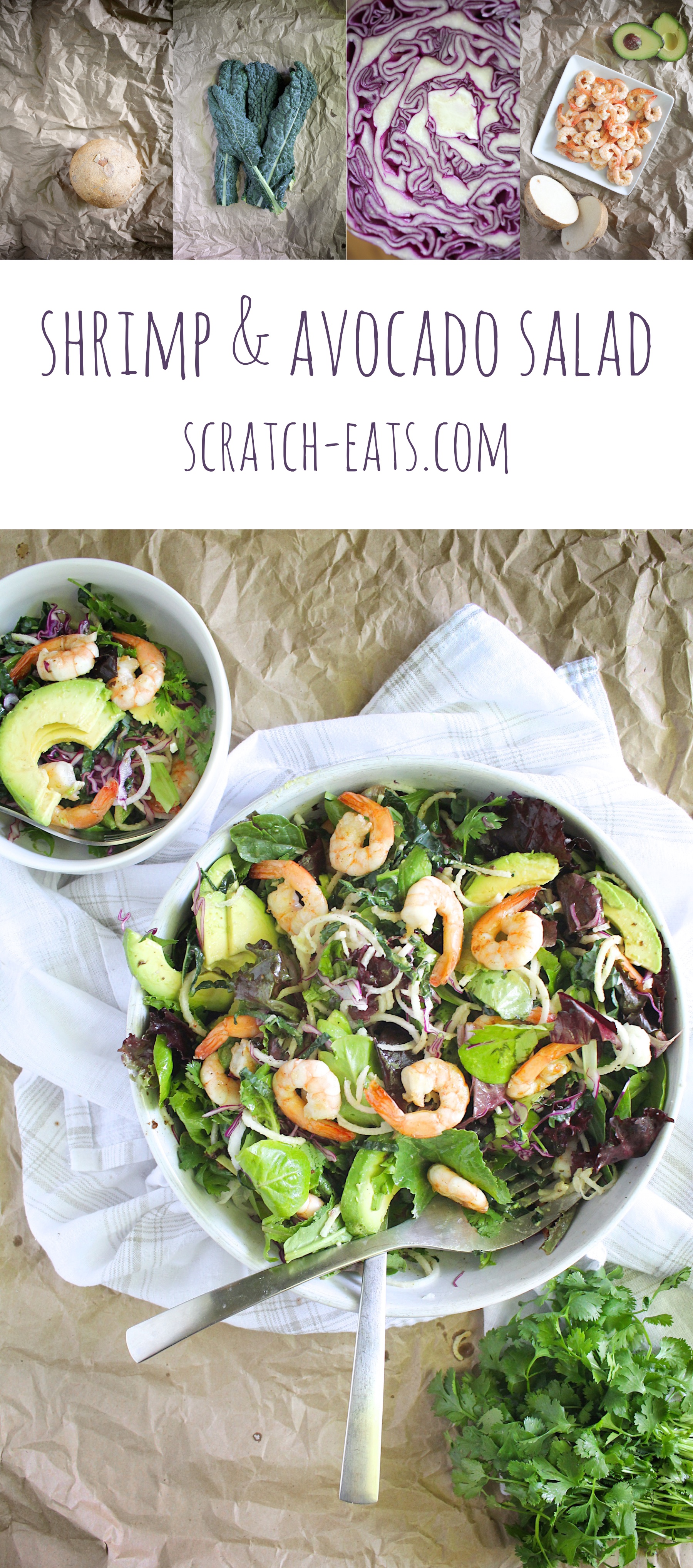 shrimp and avocado salad